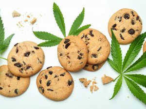 Vitamins & Supplements